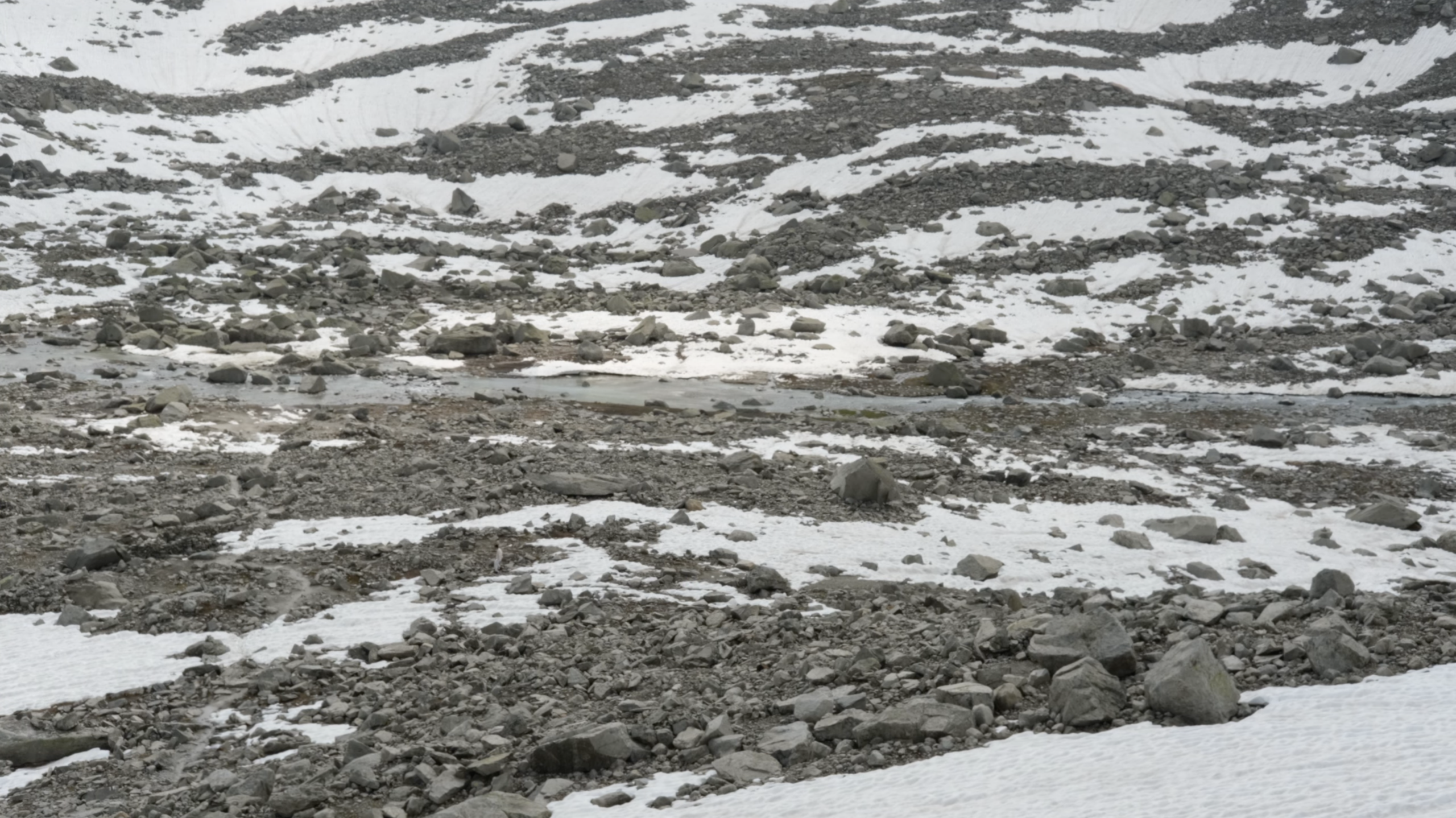LandscapesinFurka
